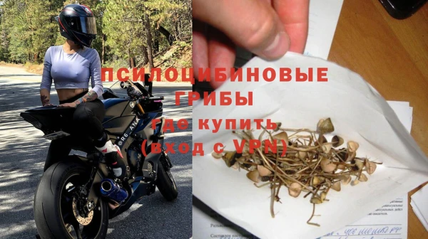 сатива Алзамай