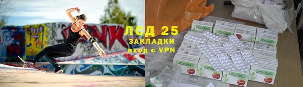 сатива Алзамай