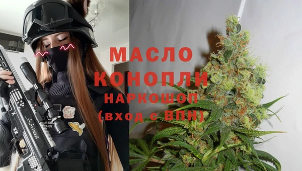 сатива Алзамай