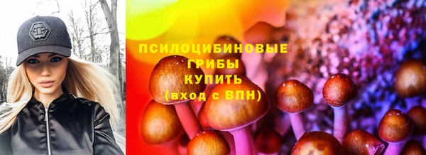 mdpv Алексин