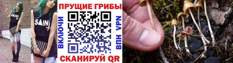 blacksprut ONION  что такое наркотик  Дно  Галлюциногенные грибы мицелий 